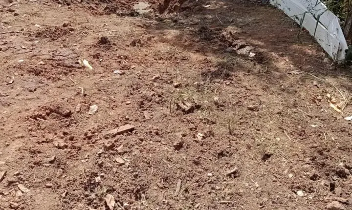 Após solicitação do vereador Edimilson Dourado, Prefeitura intensifica limpeza no bairro Nova Floresta