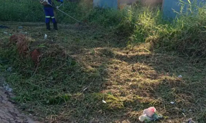 Após solicitação do vereador Edimilson Dourado, Prefeitura intensifica limpeza no bairro Nova Floresta