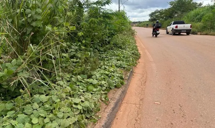 Vereador Edimilson Dourado cobra limpeza e recuperação de via pública na zona Leste de Porto Velho